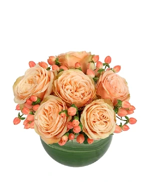 cozy-coral-rose-arrangement-VA0105223.300