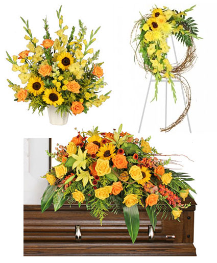 golden-reflections-sympathy-collection-SY060922.425