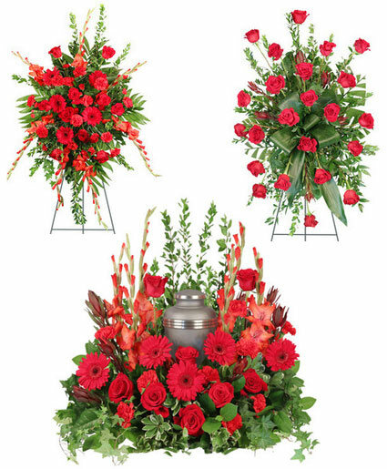 scarlet-sentiments-sympathy-collection-SY061122.425