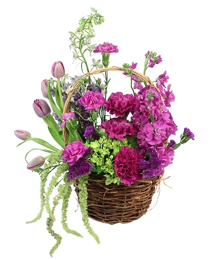 tasteful-plums-basket-arrangement-BA0100323.425
